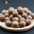 Big Size Roasted Macadamia Nuts In Shell